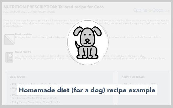 homemade recipe for a dog